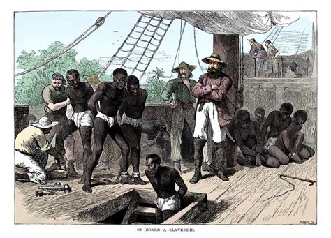african slave trade facts.